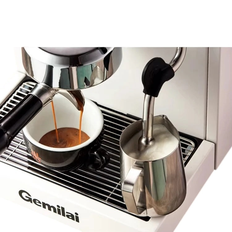 G3145B Commercial Espresso Coffee Maker 15 Bar
